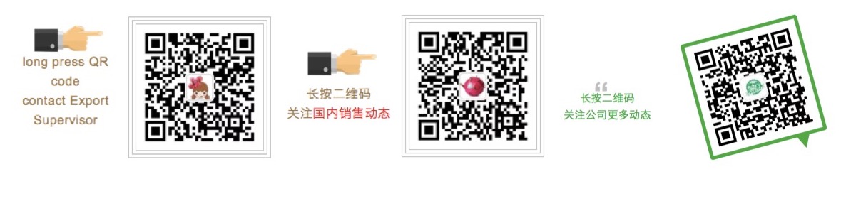 11的副本.jpg