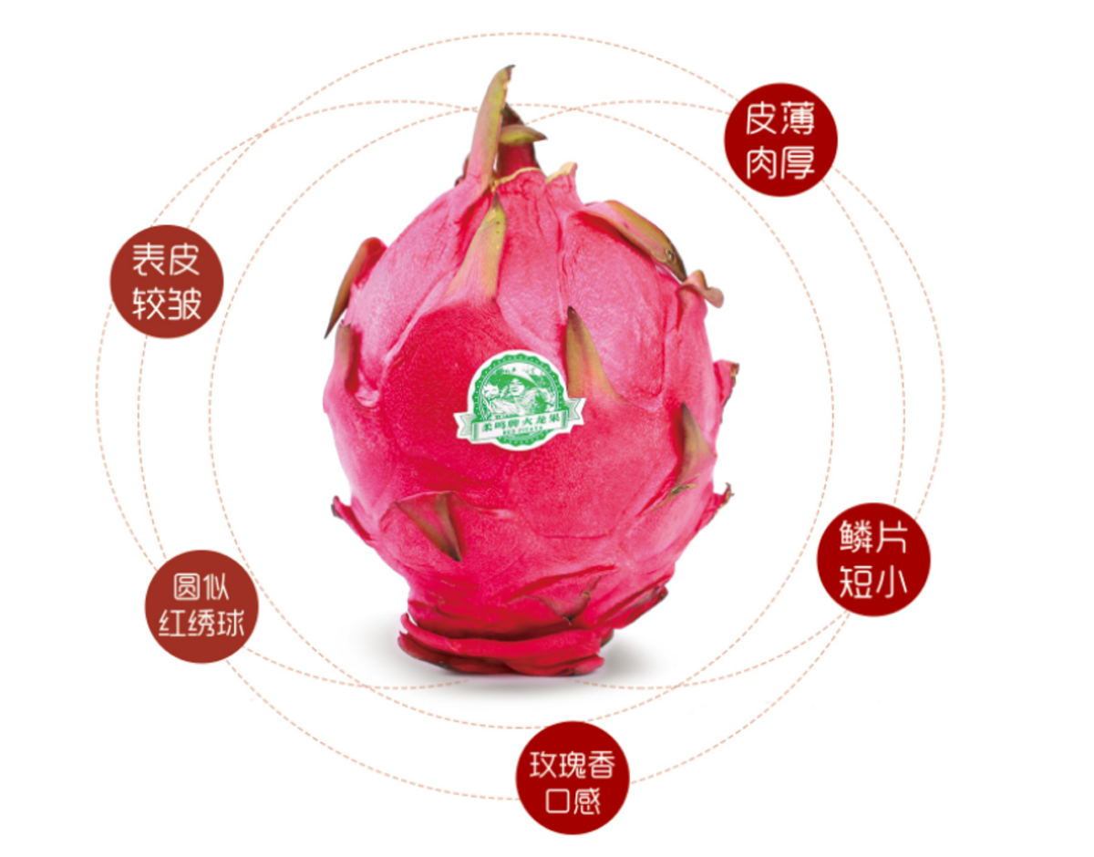 1072891981_副本.png